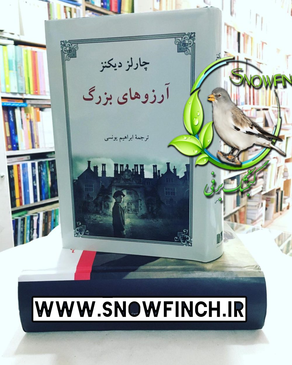 دانلود کتاب آرزوهای بزرگ - چارلز دیکنز