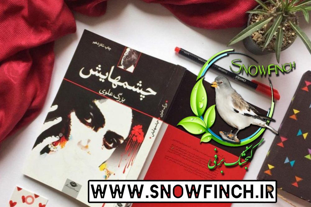 دانلود کتاب چشم هایش - بزرگ علوی