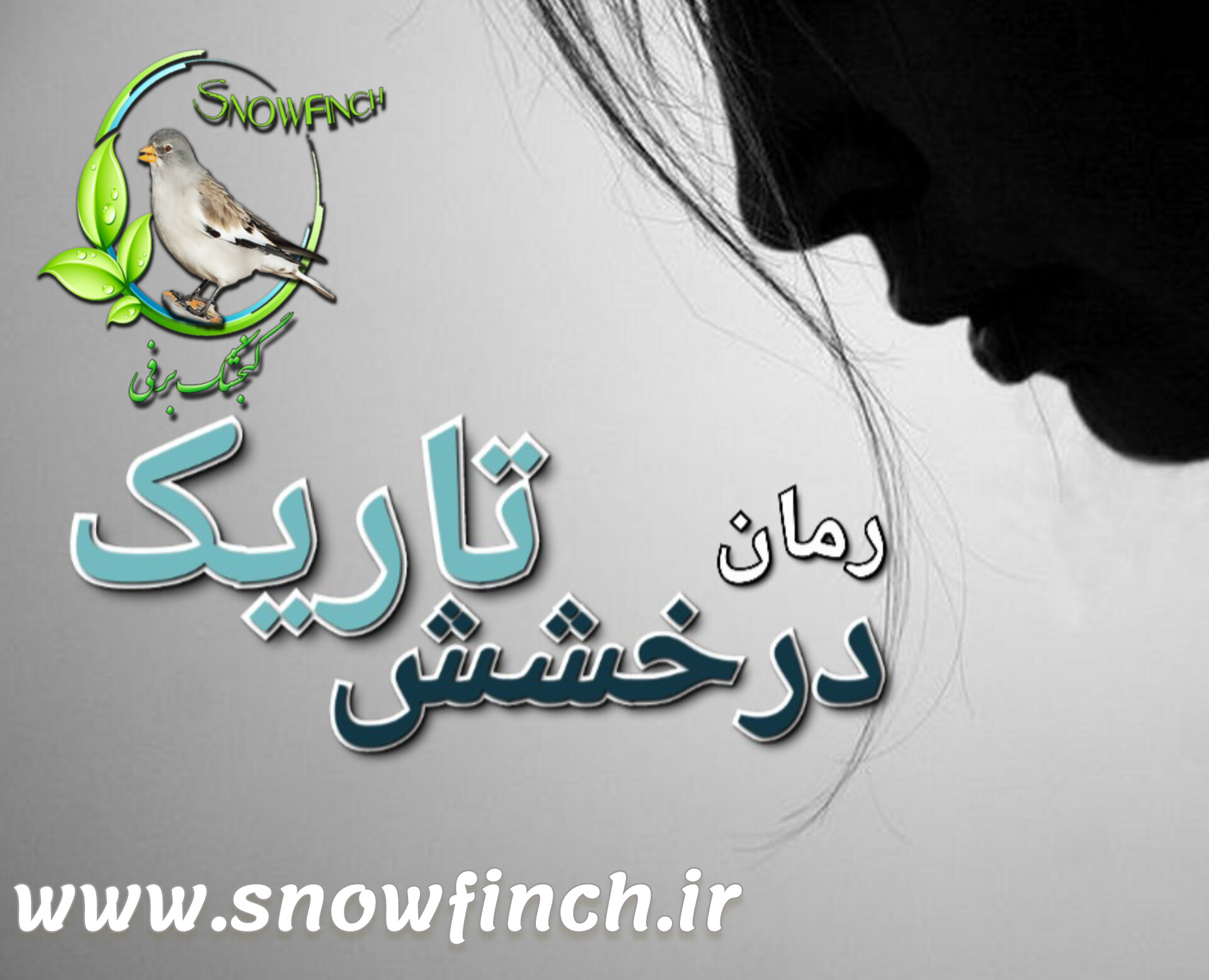 رمان درخشش تاریک - تهمینه