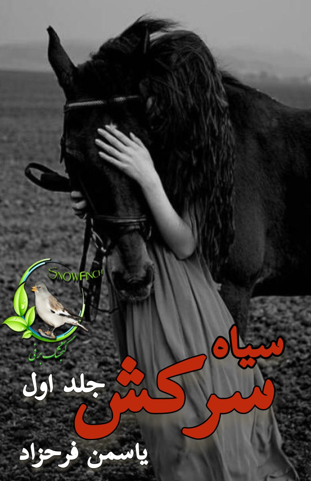 رمان سیاه سرکش - جلد اول _ یاسمن فرحزاد