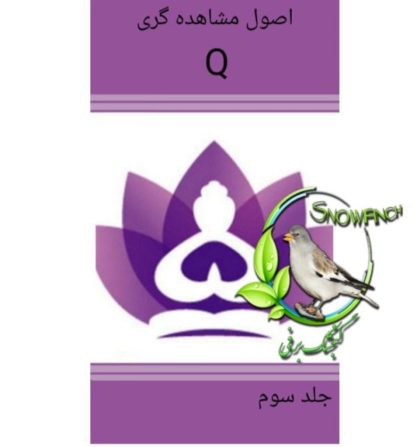 دانلود کتاب اصول مشاهده گری Q - جلد سوم
