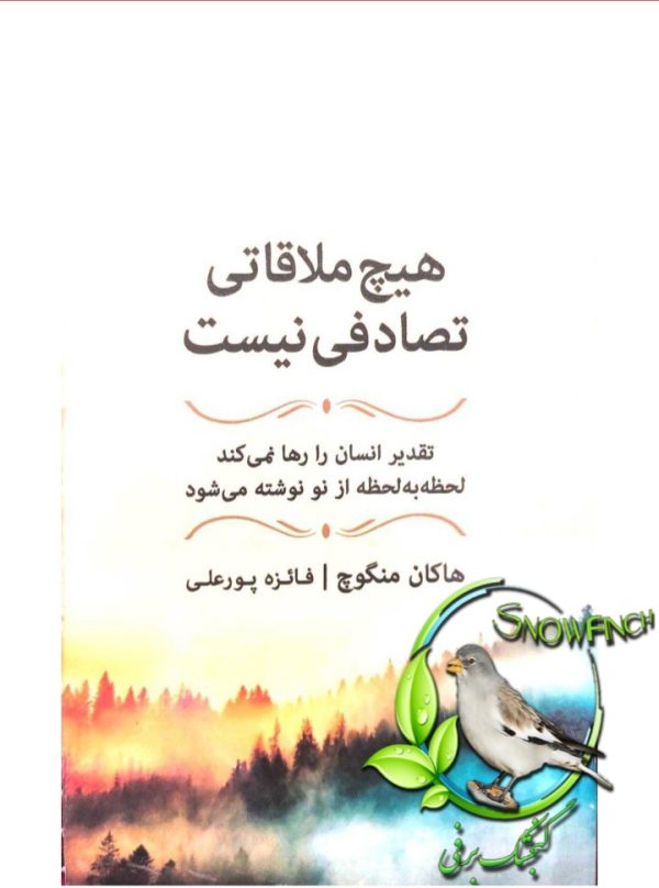 دانلود کتاب هیچ ملاقاتی تصادفی نیست - هاکان منگوچ