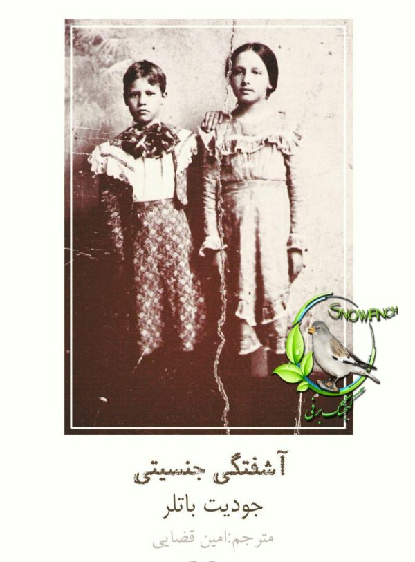 دانلود کتاب آشفتگی جنسیتی - جودیت باتلر