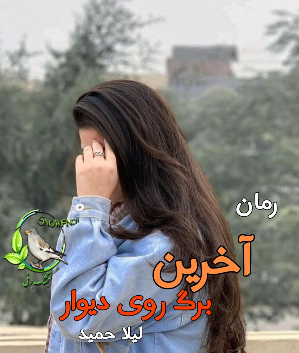 رمان آخرین برگ روی دیوار - لیلا حمید