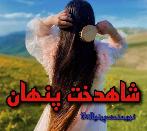 رمان شاهدخت پنهان - پرنیا