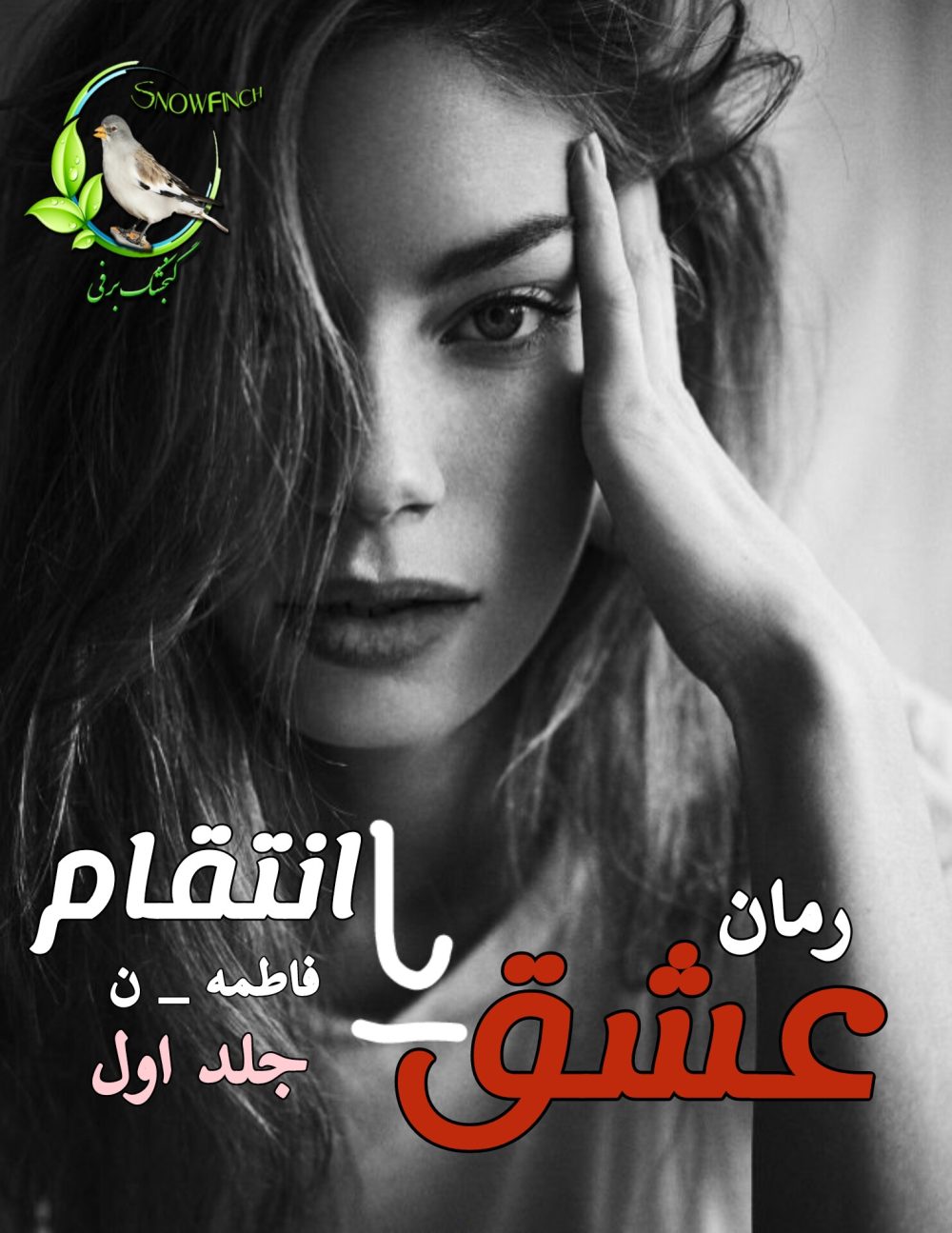 رمان عشق یا انتقام - جلد اول - فاطمه ن