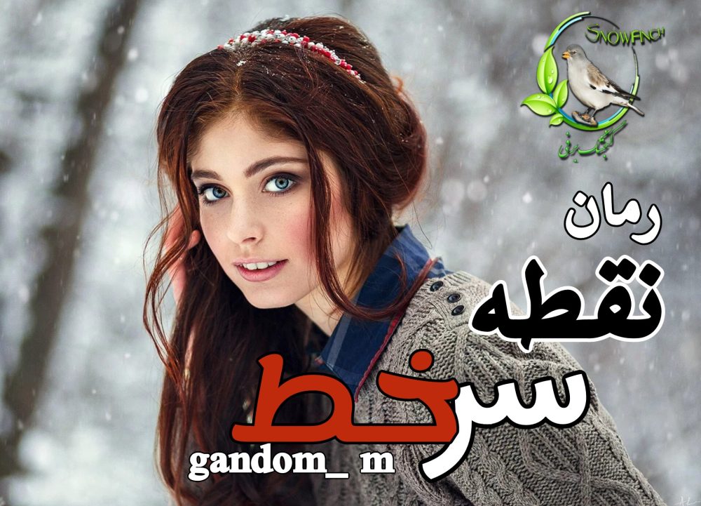 رمان نقطه سر خط - gandom m