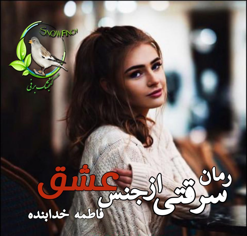 رمان سرقتی از جنس عشق - فاطمه خدابنده