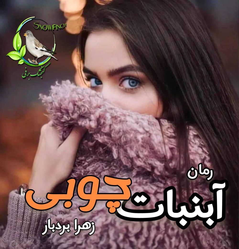 رمان آبنبات چوبی - زهرا بردبار