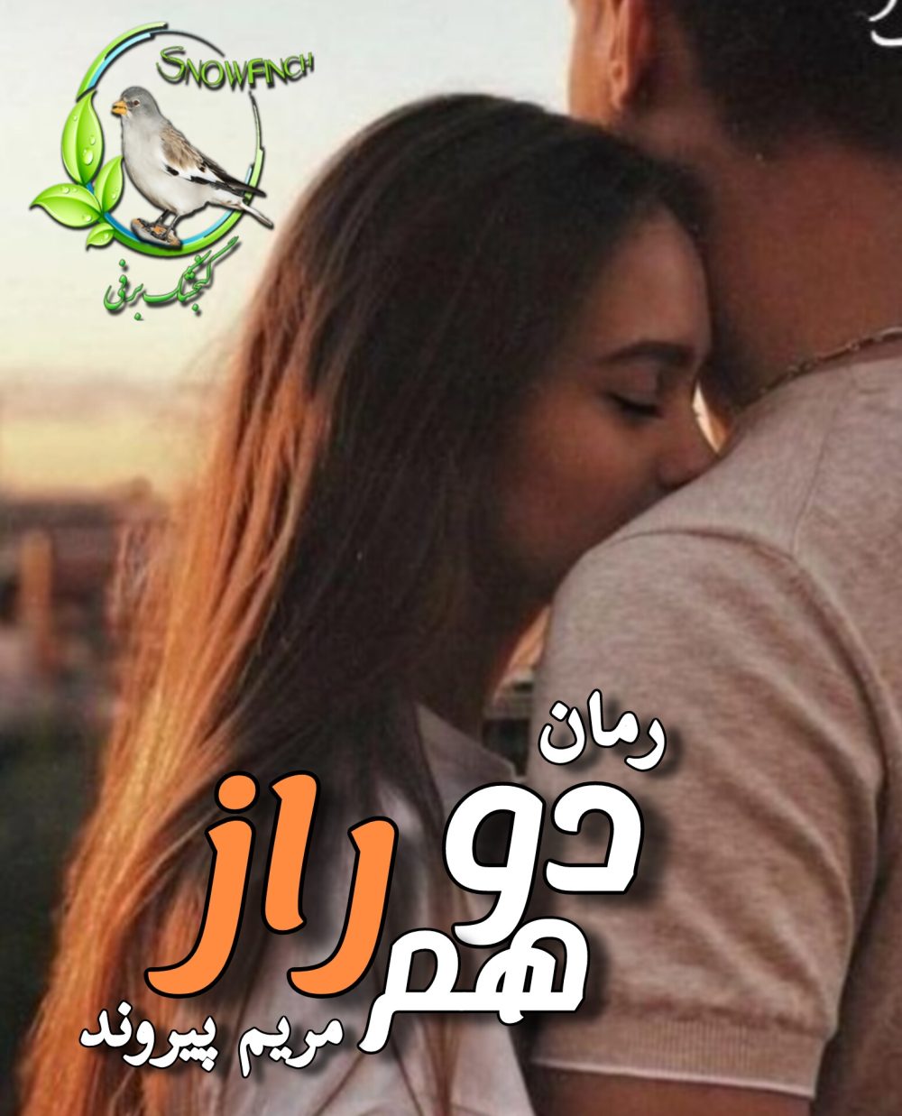 رمان دو همراز - مریم پیروند