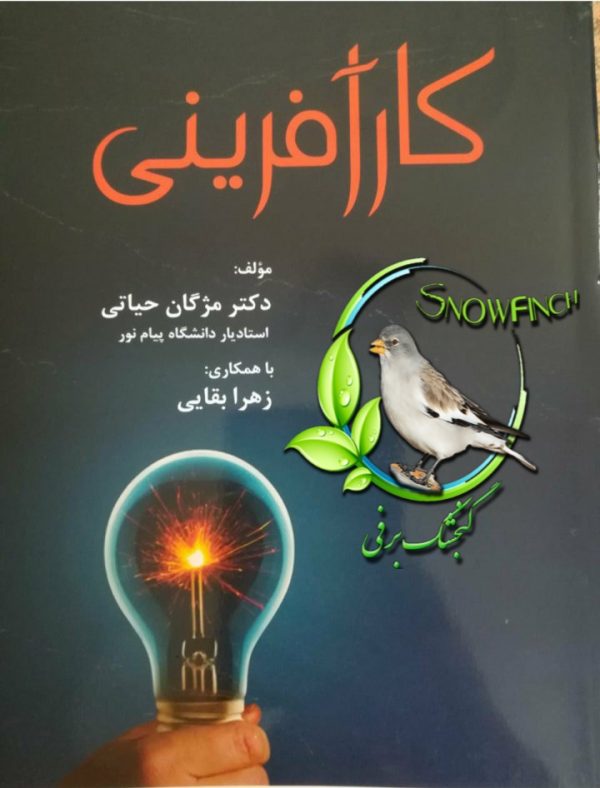 دانلود کتاب کارآفرینی - دکتر مژگان حیاتی
