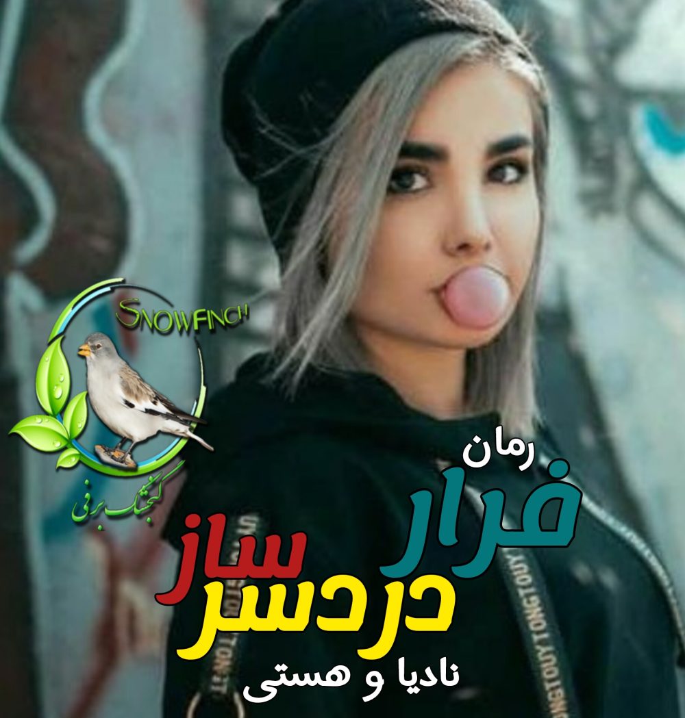 رمان فرار دردسرساز - نادیا و هستی