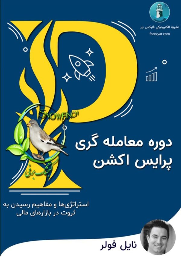دانلود کتاب دوره معامله گری پرایس اکشن  –  نایل فولر