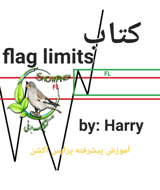 دانلود کتاب آموزش Flag limits - هری
