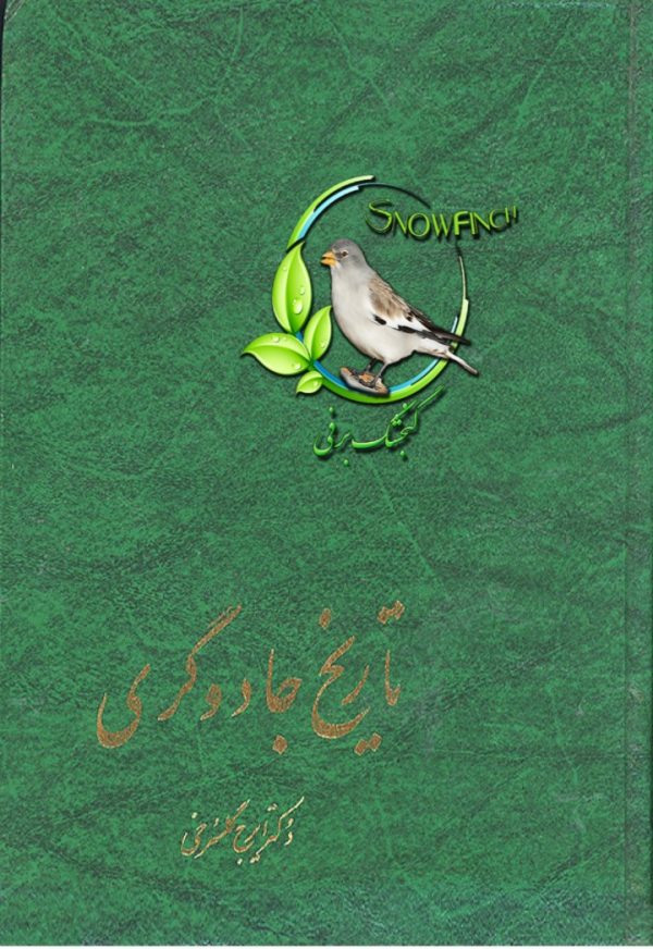 دانلود کتاب تاریخ جادوگری - ایرج گلسرخی