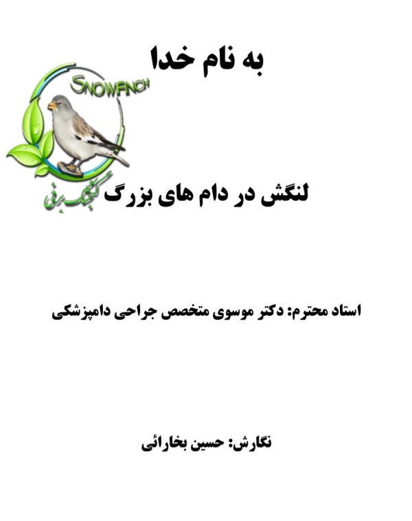 دانلود جزوه لنگش در دام های بزرگ در 113 صفحه