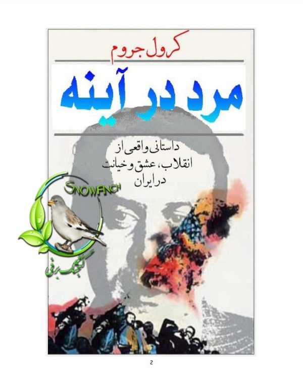 دانلود کتاب مرد در آینه - کرول جروم