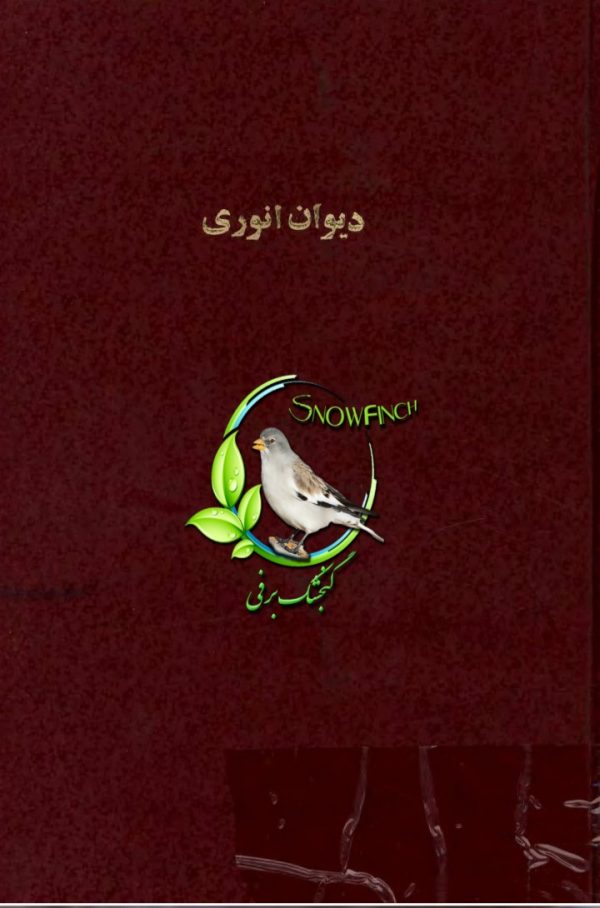 دانلود کتاب دیوان انوری - جلد اول - محمد انوری