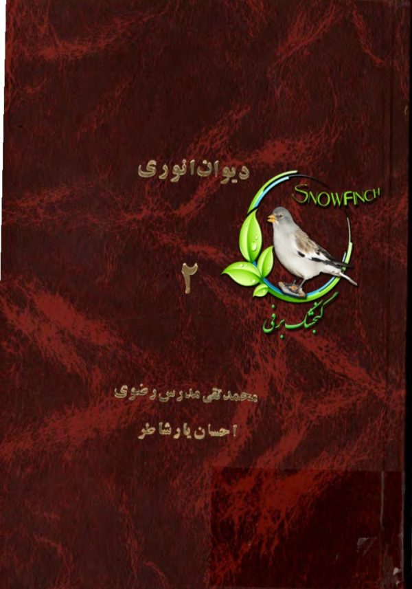 دانلود کتاب دیوان انوری - جلد دوم - محمد انوری