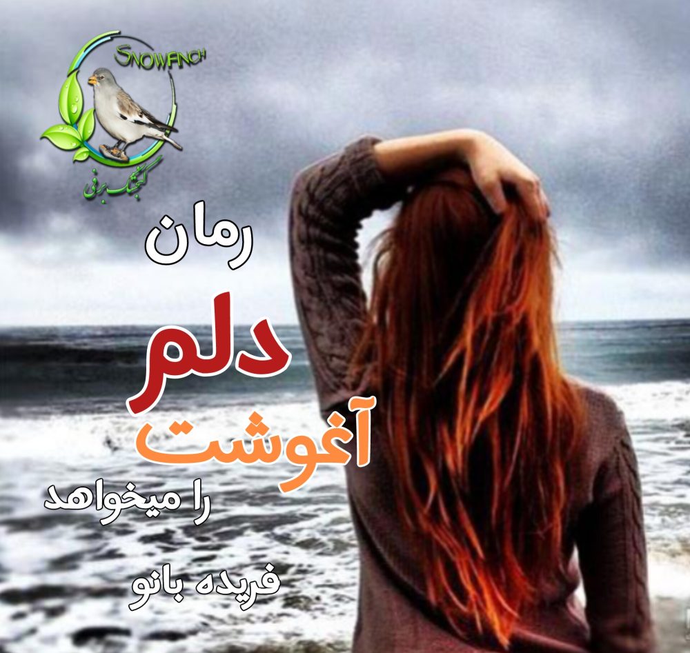 رمان دلم آغوشت را میخواهد - فریده بانو