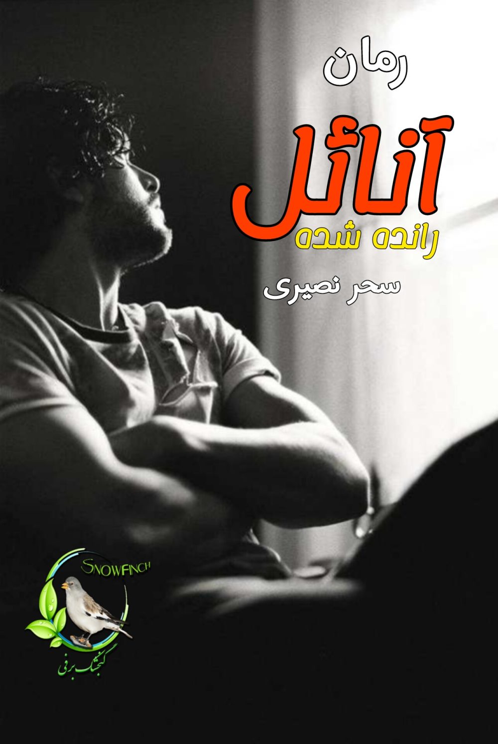 رمان آنائل رانده شده - سحر نصیری