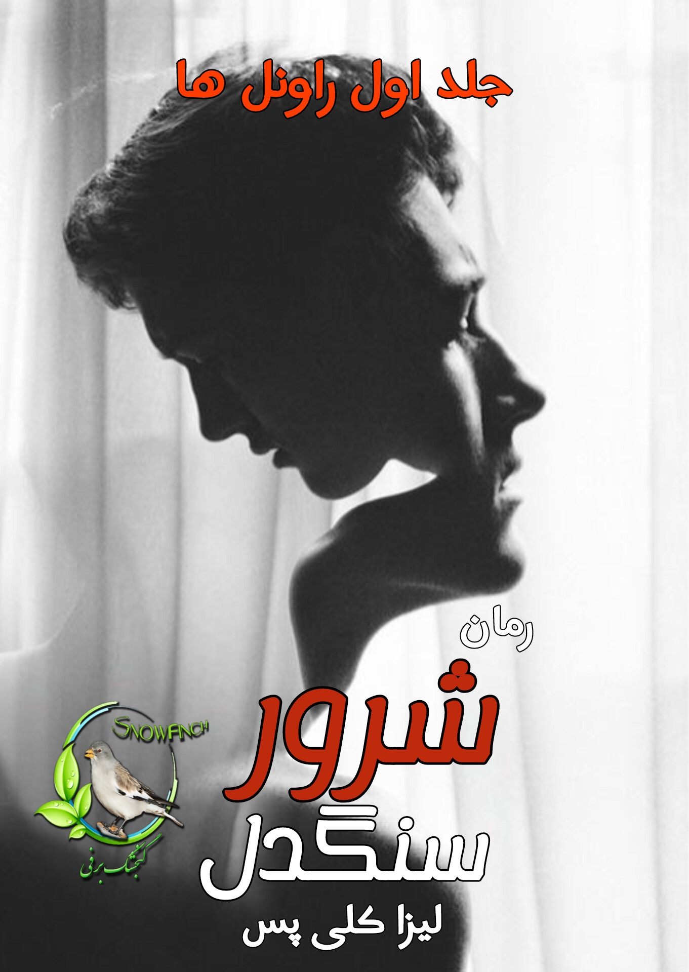 رمان شرور سنگدل - جلد اول مجموعه راونل ها از لیزا کلی پس