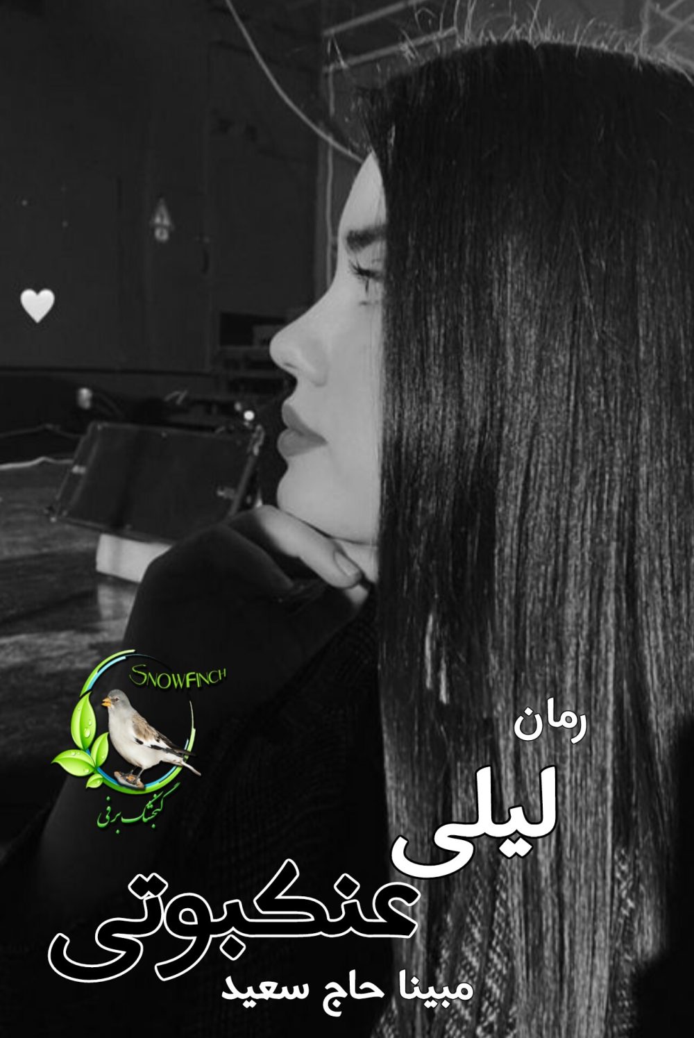 رمان لیلی عنکبوتی - مبینا خاج سعید