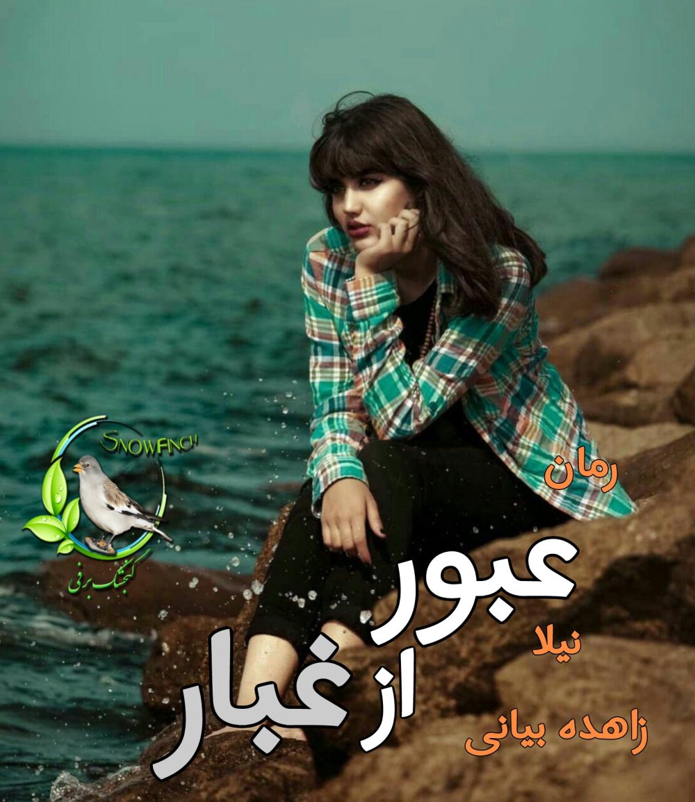 رمان عبور از غبار - زاهده بیانی