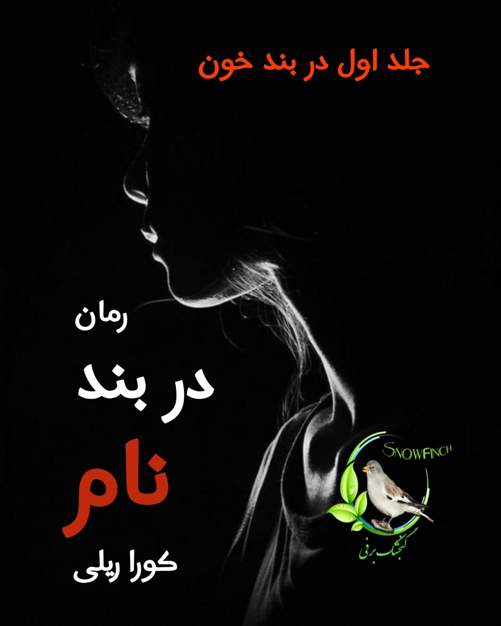 رمان در بند نام - جلد اول در بند خون - کورا ریلی