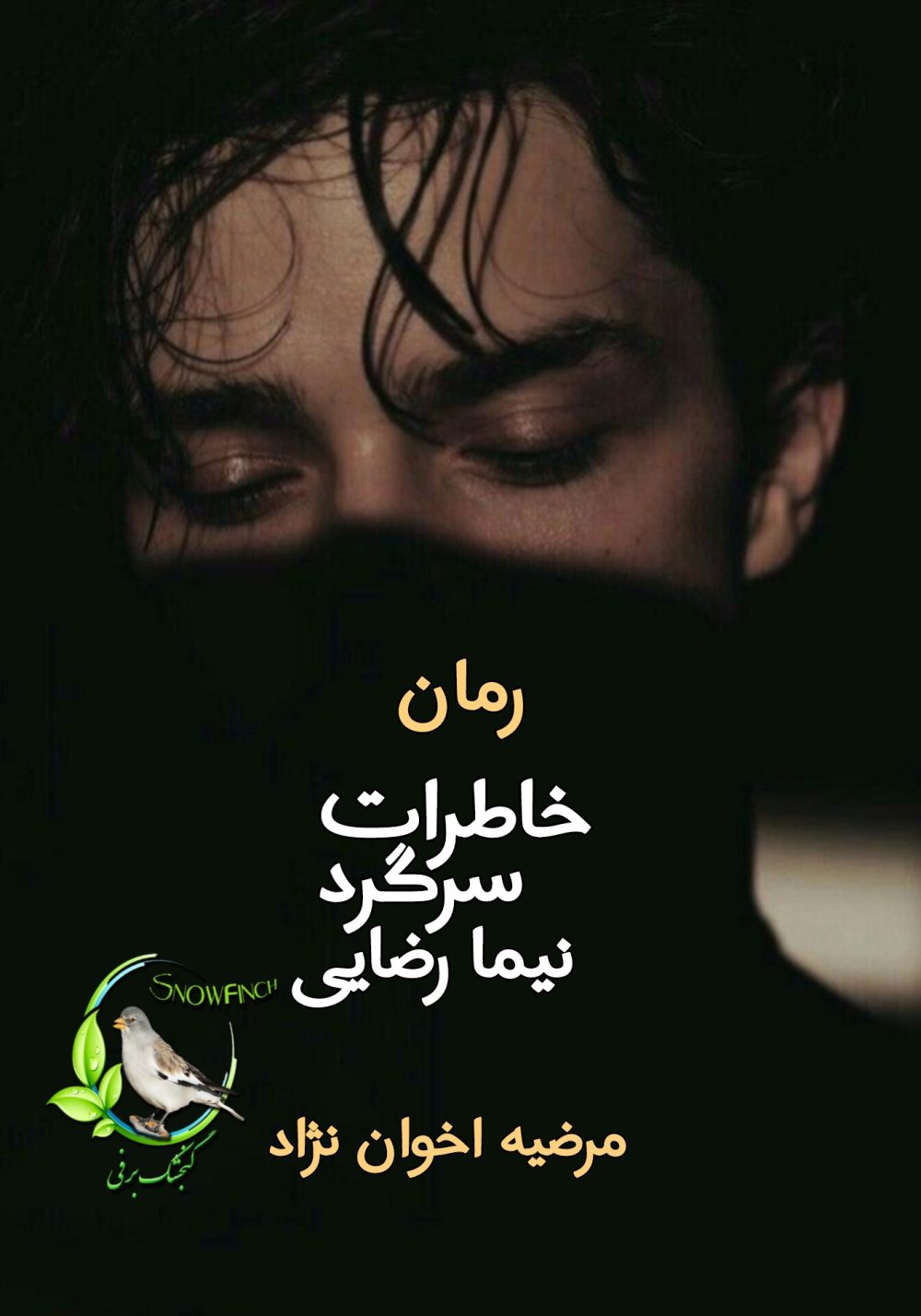 رمان خاطرات سرگرد نیما رضایی - مرضیه اخوان نژاد
