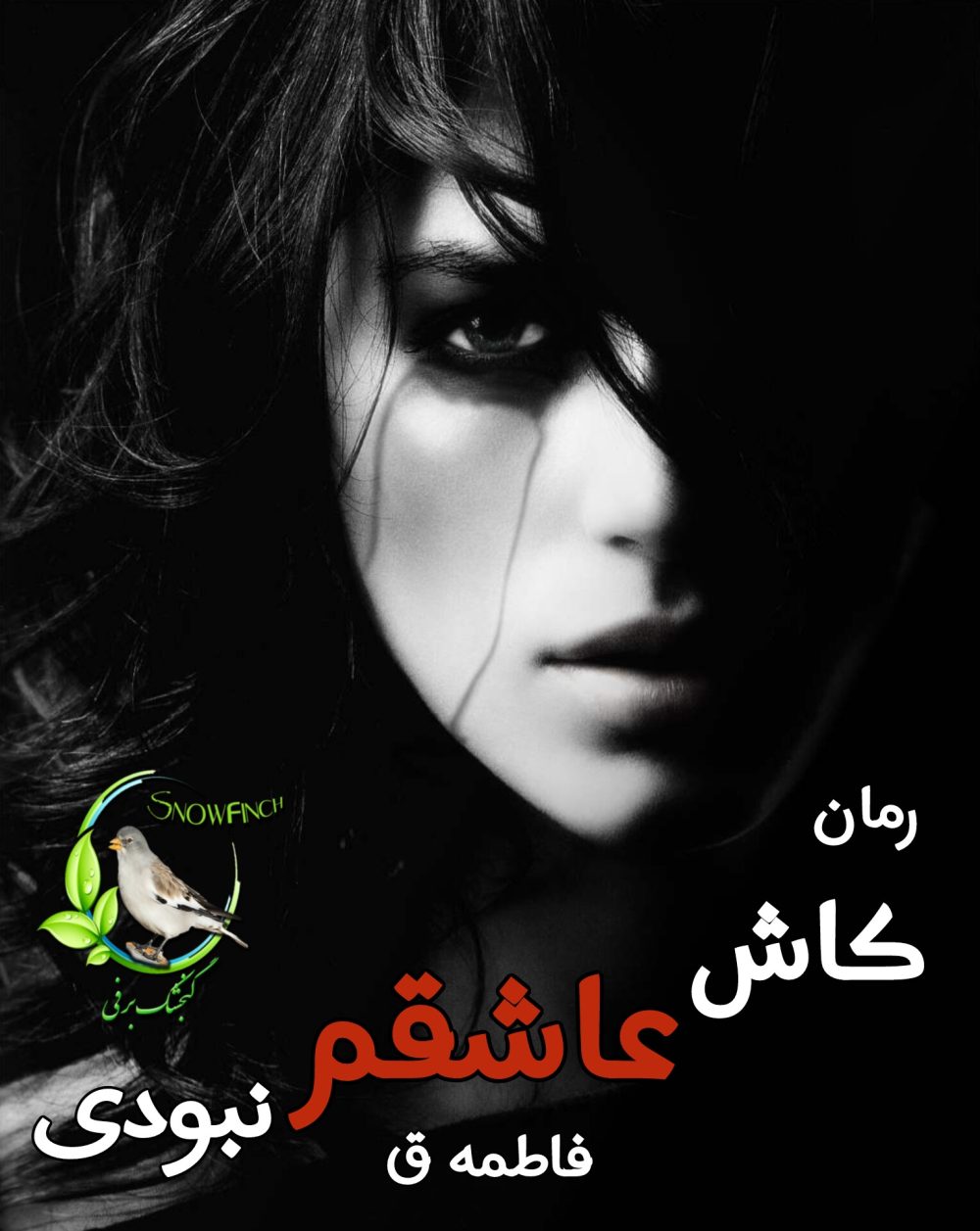 رمان کاش عاشقم نبودی - فاطمه ق