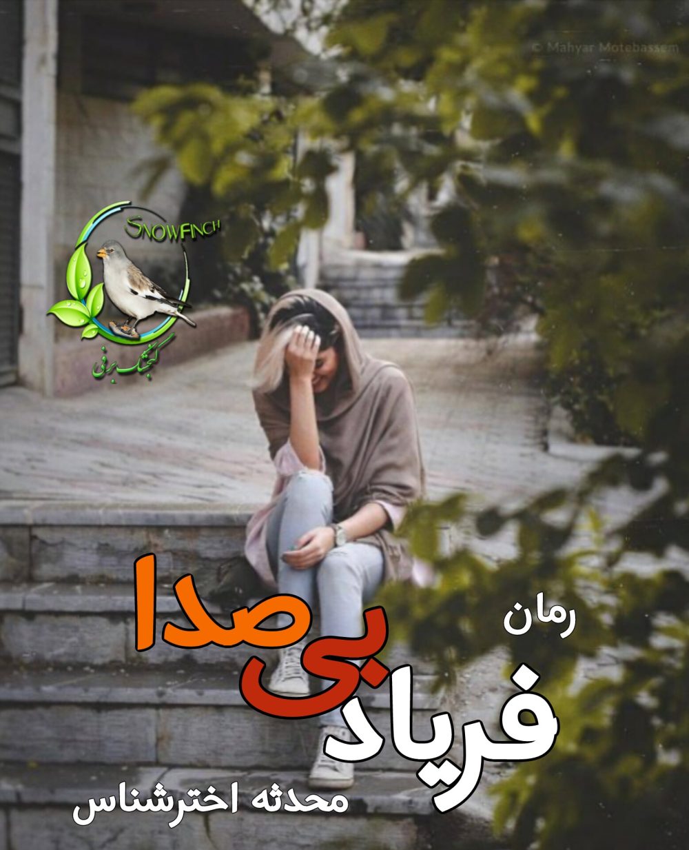 رمان فریاد بی صدا - محدثه اخترشناس