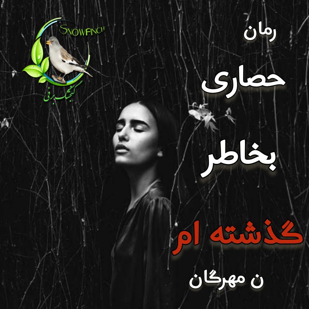 رمان حصاری بخاطر گذشته ام - ن. مهرگان