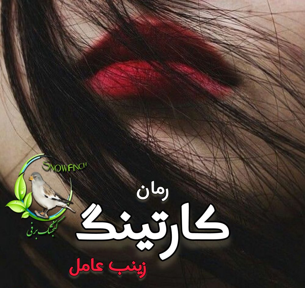 رمان کارتینگ - زینب عامل