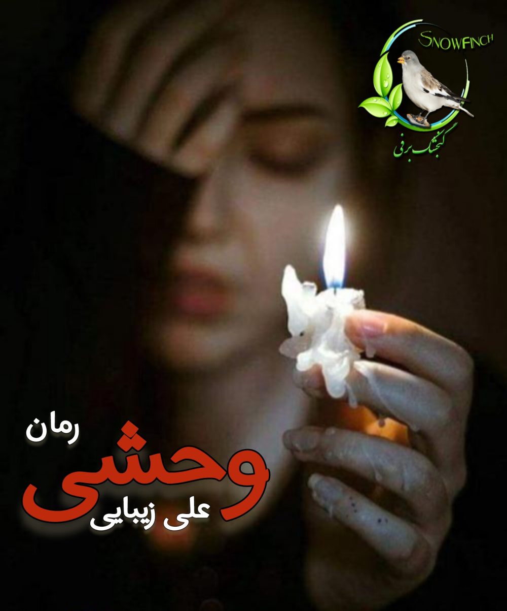 رمان وحشی - علی زیبایی