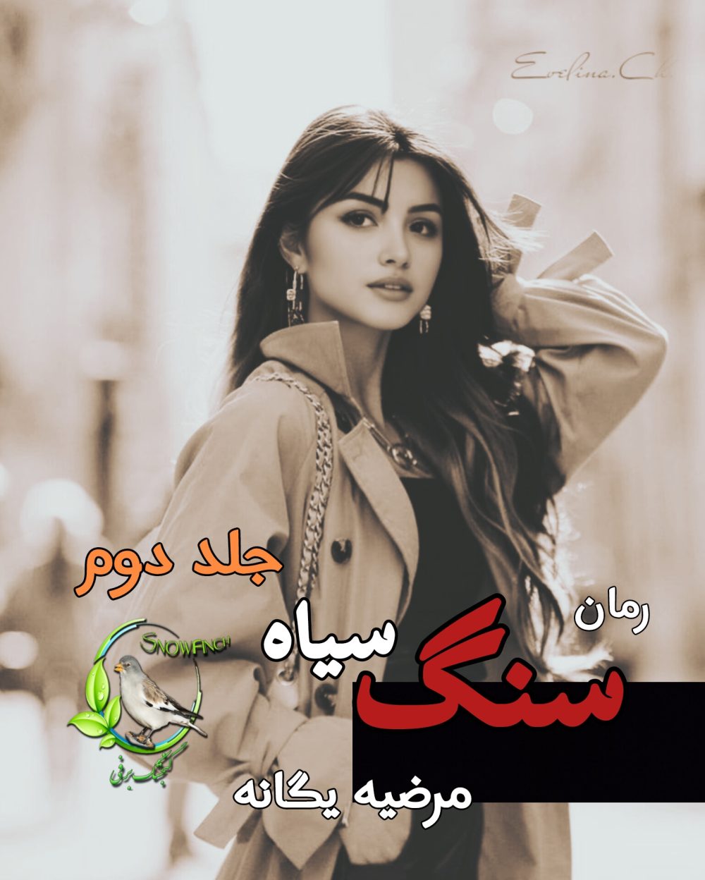 رمان سنگ سیاه - جلد دوم - مرضیه یگانه