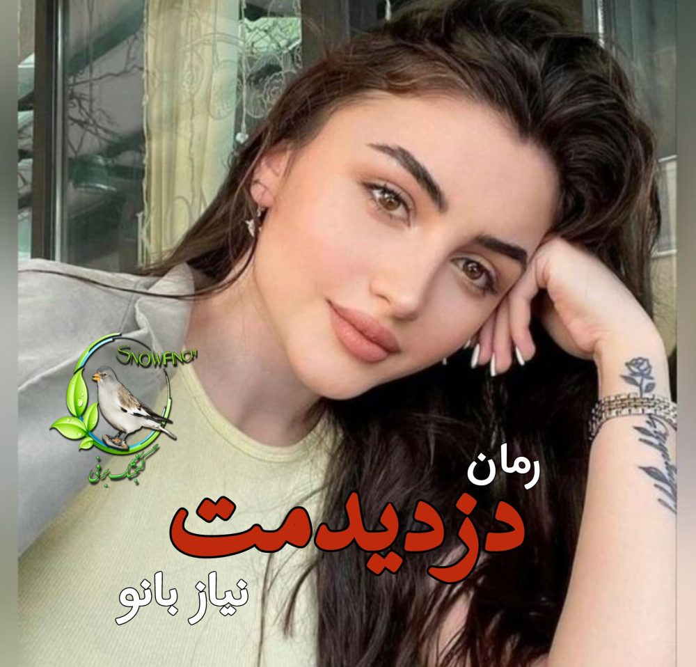 رمان دزدیدمت - نیاز بانو