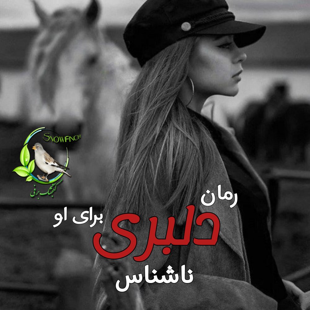 رمان دلبری برای او - ناشناس