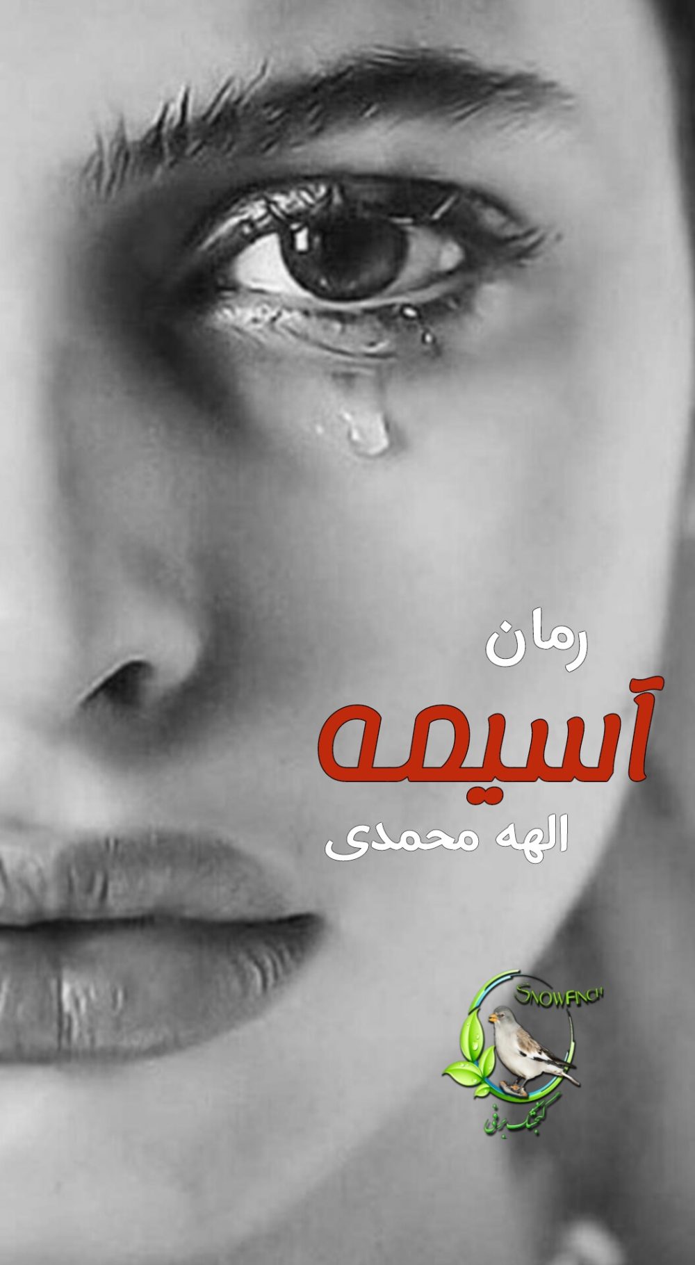 رمان آسیمه - الهه محمدی