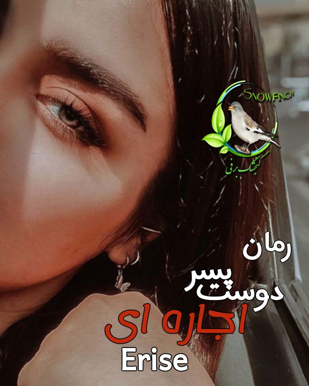 رمان دوست پسر اجاره ای - erise