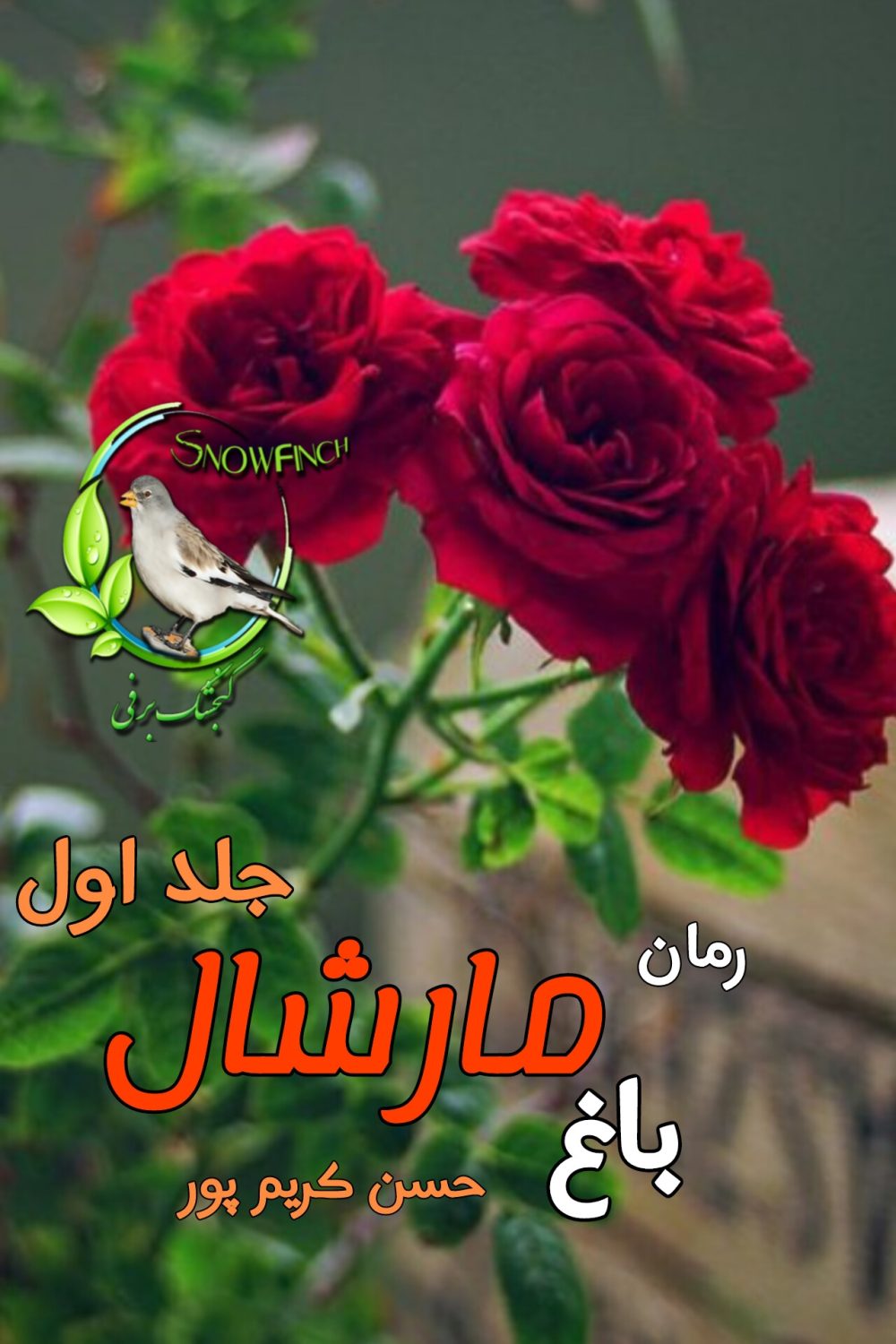 رمان باغ مارشال - جلد اول - حسن کریم پور