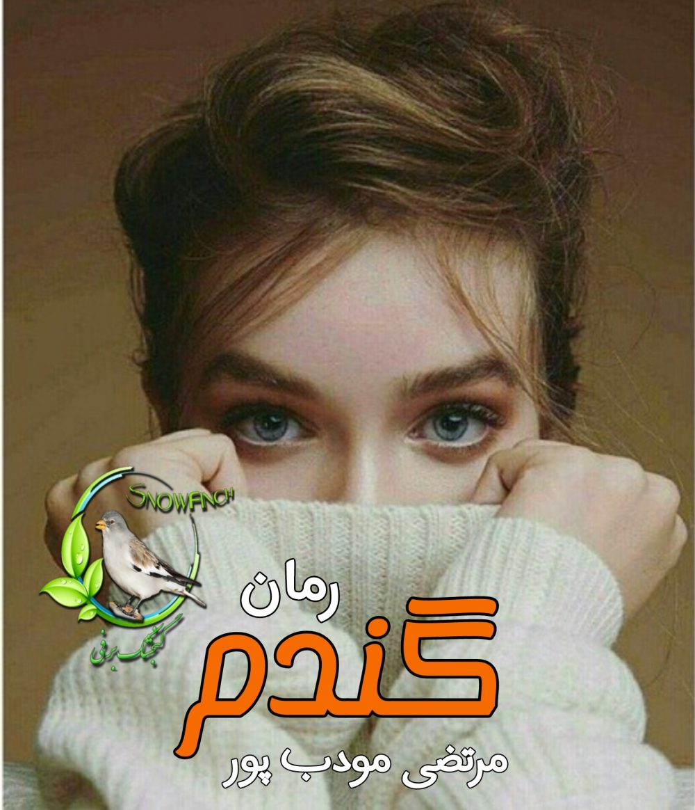 رمان گندم - مرتضی مودب پور