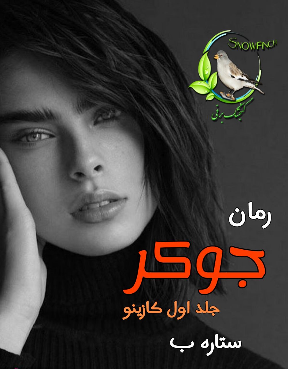 رمان جوکر - جلد اول کازینو - ستاره ب