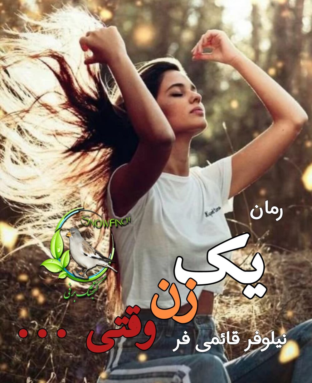 رمان یک زن وقتی ... - نیلوفر قائمی فر