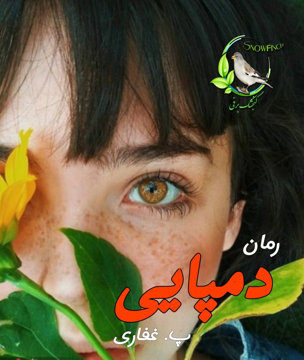 رمان دمپایی - پریسا غفاری