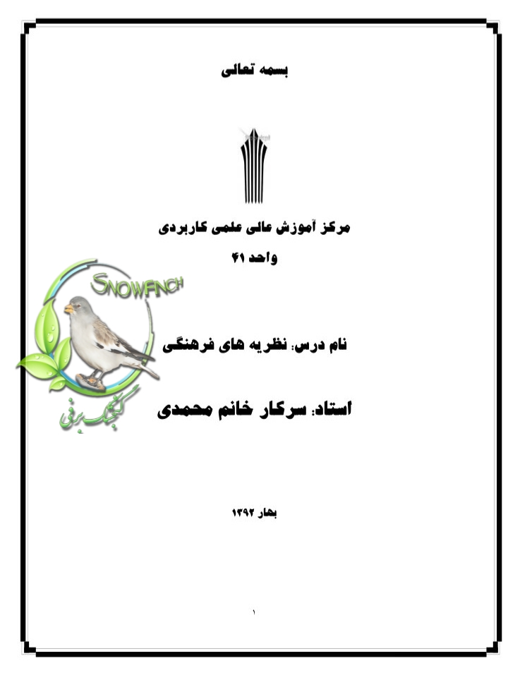 دانلود جزوه درس نظریه های فرهنگی