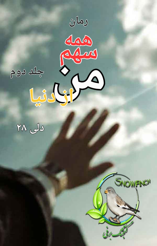 رمان همه ی سهم من از دنیا - جلد دوم - دلی ۲۸