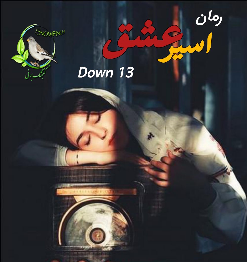 رمان اسیر عشق - down 13