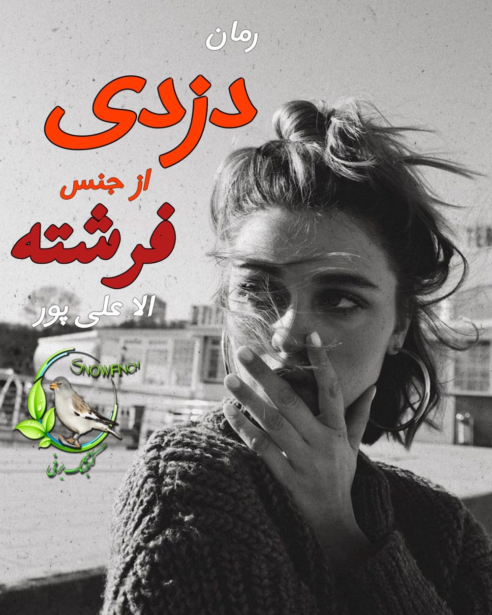 رمان دزدی از جنس فرشته - آلا علی پور