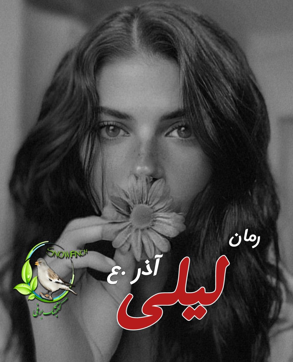 رمان لیلی - آذر .ع